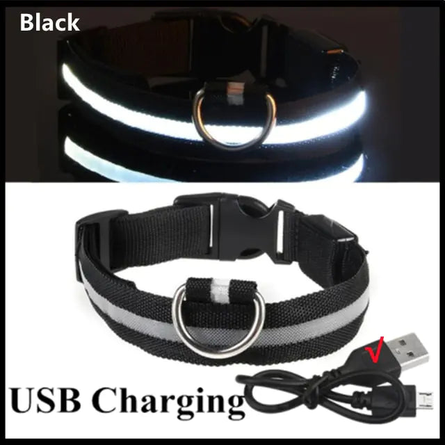 Light Up the Night: LED Glowing Dog Collar for Maximum Safety