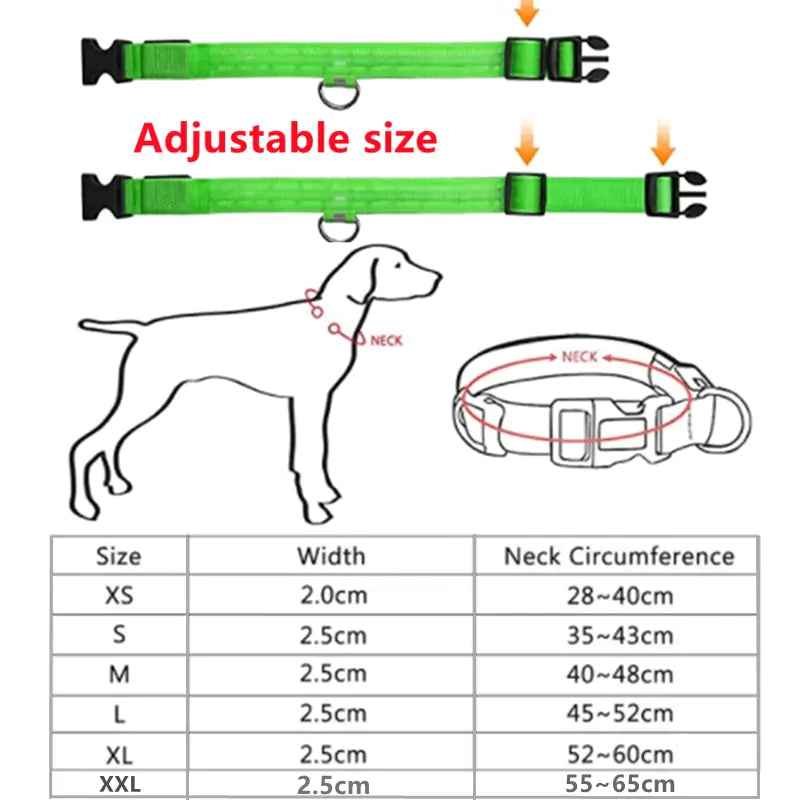 Light Up the Night: LED Glowing Dog Collar for Maximum Safety