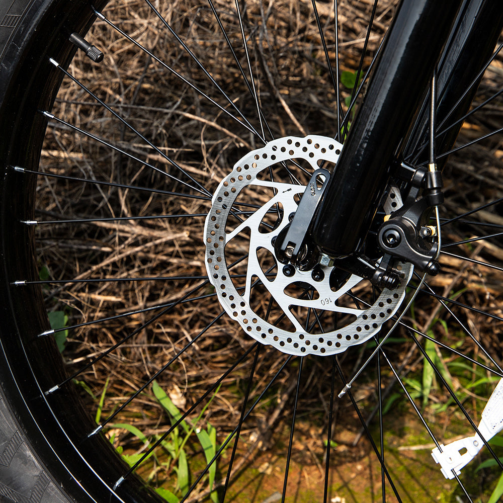 Powerful & Versatile: 1000W Fat Tire Electric Mountain Bike for All Terrains
