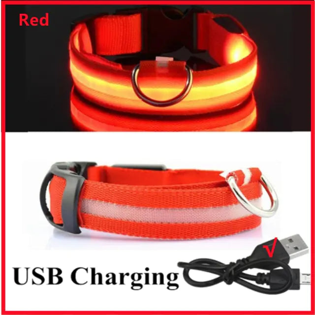 Light Up the Night: LED Glowing Dog Collar for Maximum Safety