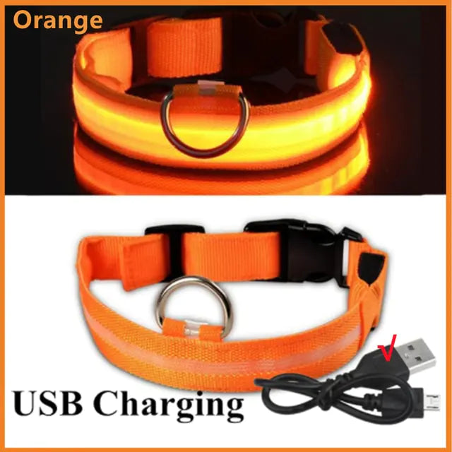 Light Up the Night: LED Glowing Dog Collar for Maximum Safety