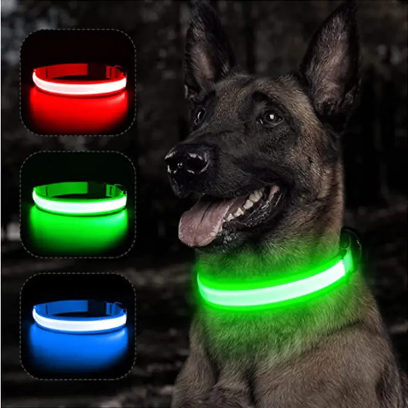 Light Up the Night: LED Glowing Dog Collar for Maximum Safety