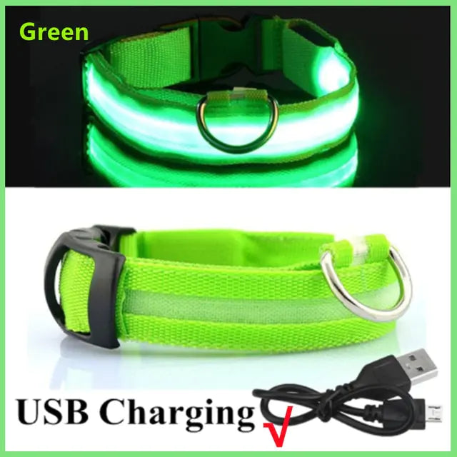 Light Up the Night: LED Glowing Dog Collar for Maximum Safety