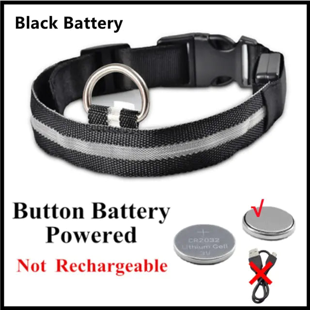 Light Up the Night: LED Glowing Dog Collar for Maximum Safety