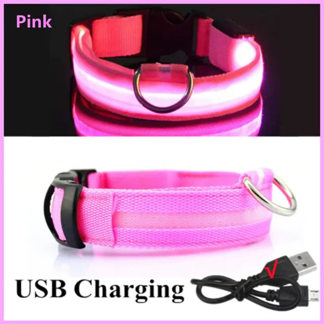 Light Up the Night: LED Glowing Dog Collar for Maximum Safety