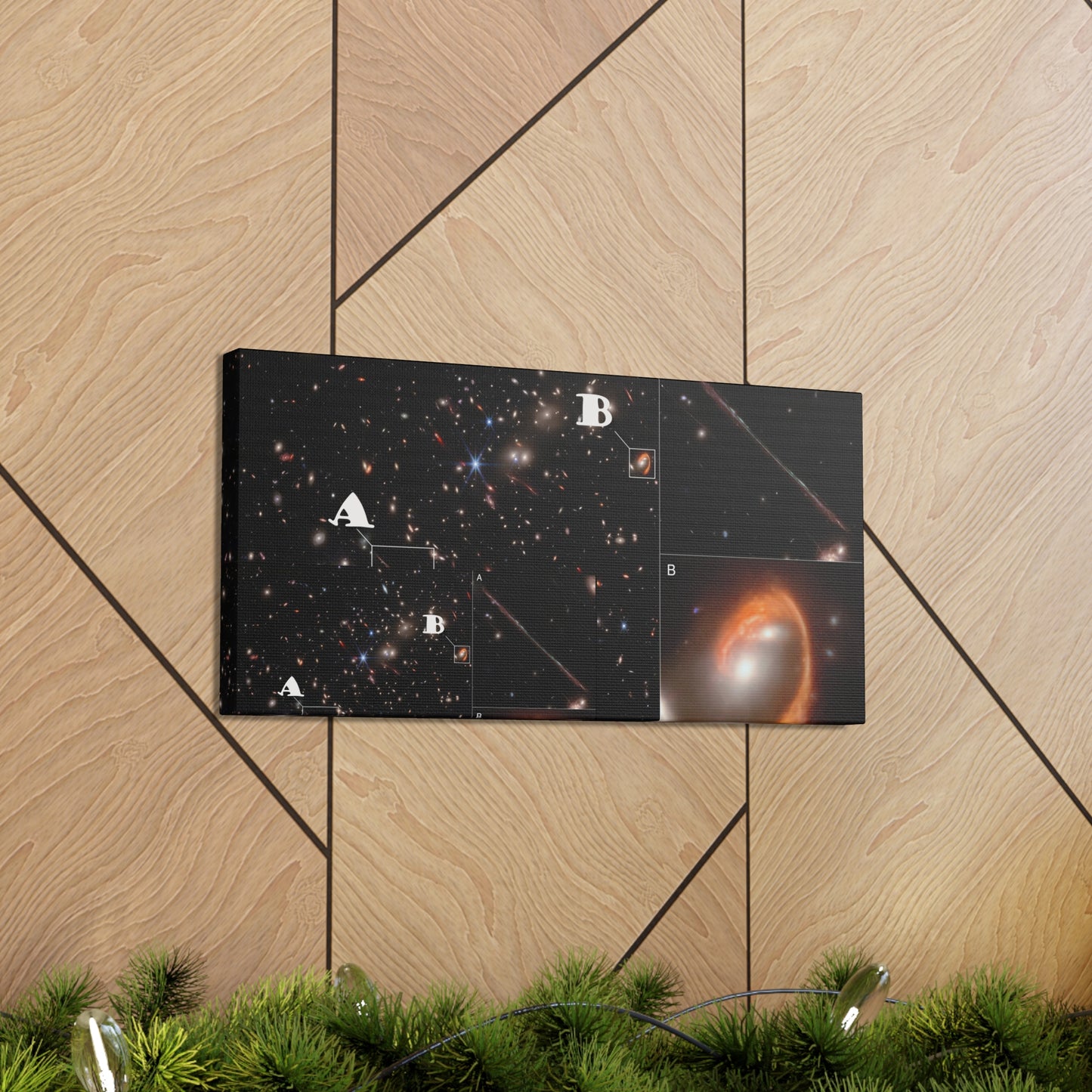 Cosmos 12 Canvas Gallery Wraps