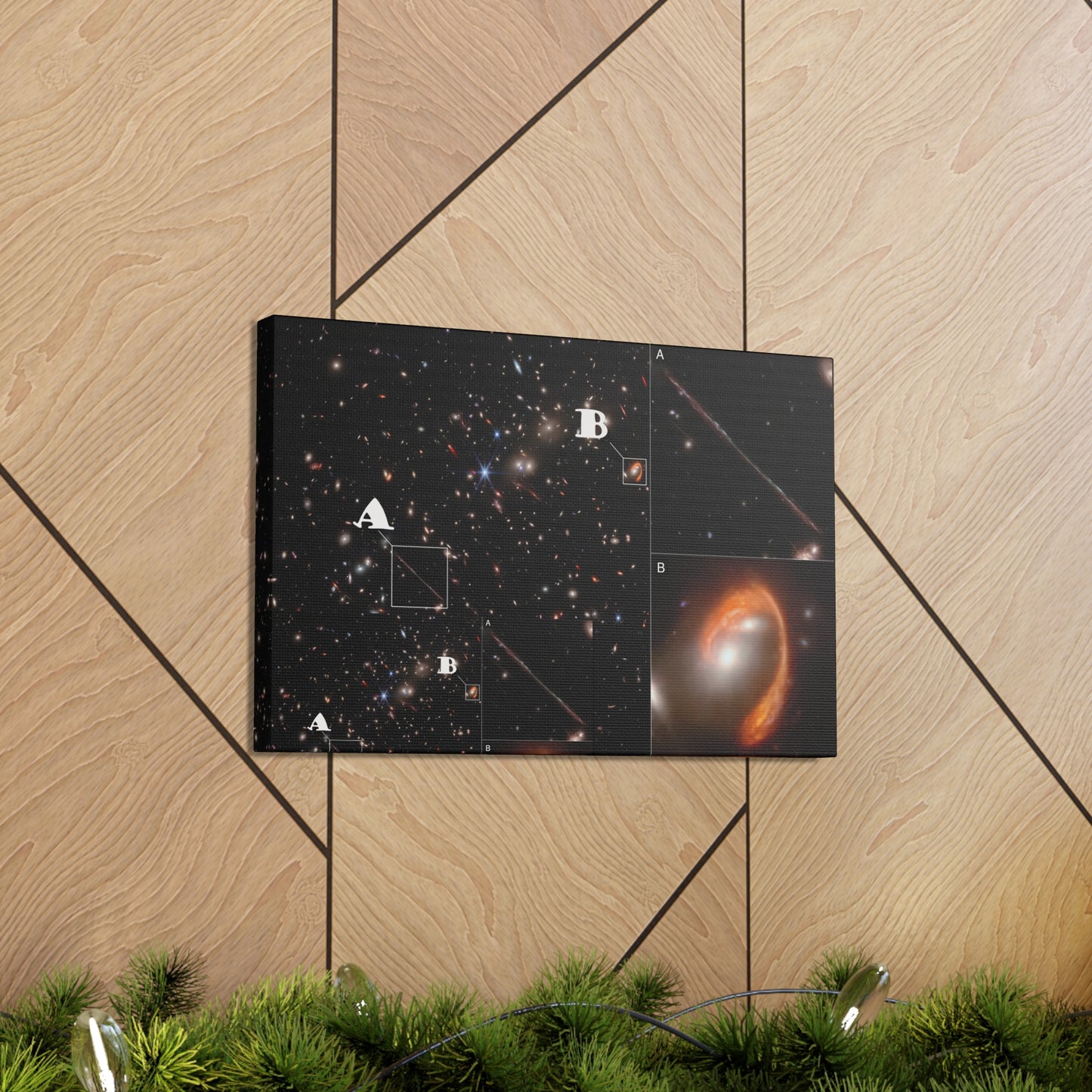 Cosmos 12 Canvas Gallery Wraps