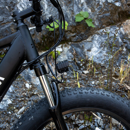 Powerful & Versatile:  1000W Fat Tire Electric Mountain Bike for All Terrains