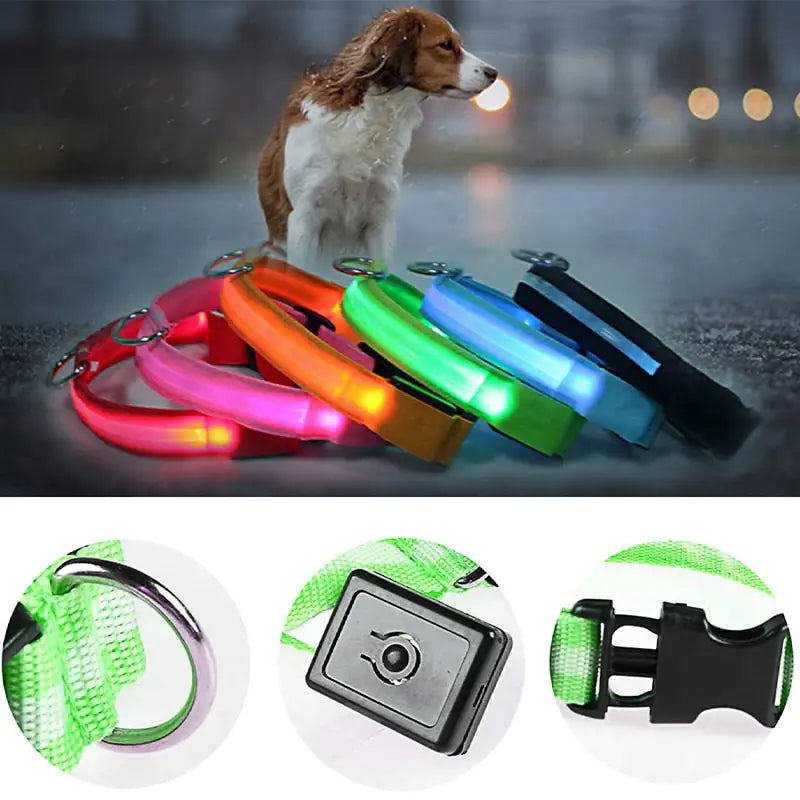 LED Safety Dog Collar for Enhanced Nighttime Visibility