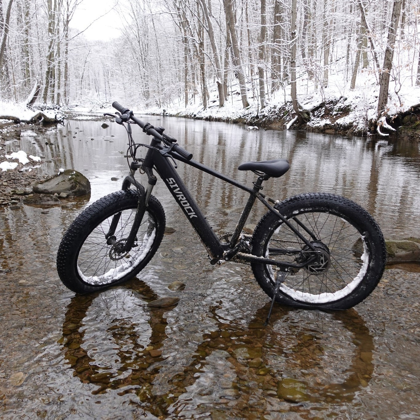 Powerful & Versatile:  1000W Fat Tire Electric Mountain Bike for All Terrains