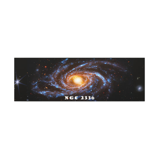 Gaze into the Galaxy: NGC2336 Cosmos Canvas Print