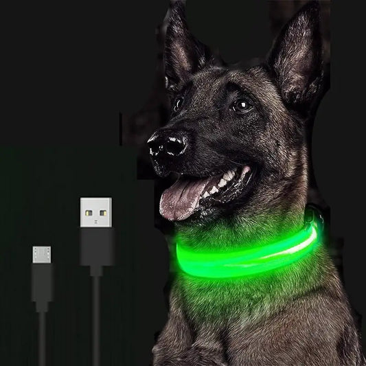 LED Safety Dog Collar for Enhanced Nighttime Visibility