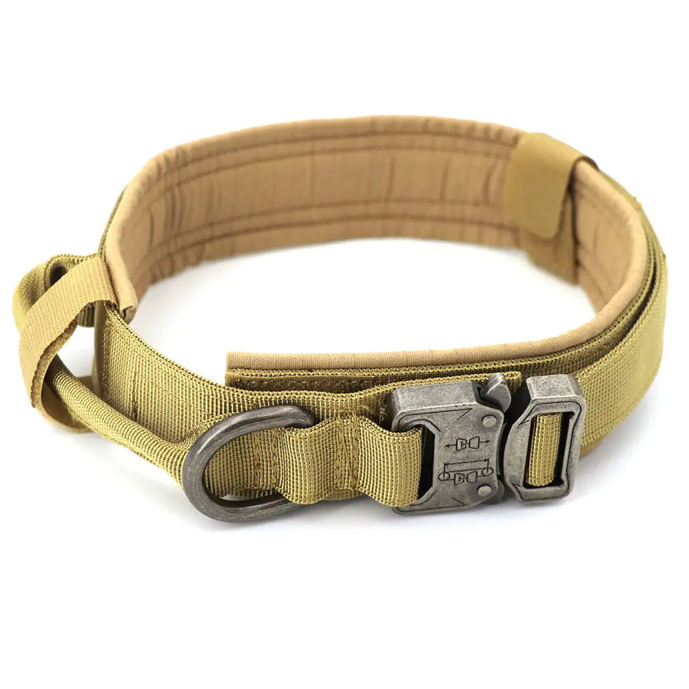 Style Meets Safety: The Ultimate Dog Collar for Your Best Friend