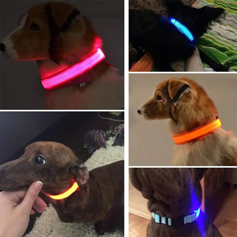 LED Safety Dog Collar for Enhanced Nighttime Visibility