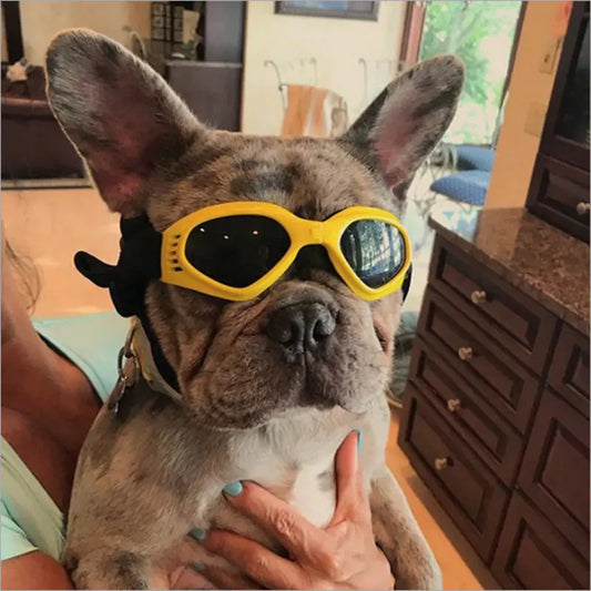 Dog Sunglasses with UV Protection and Windproof Design - Keep Your Furry Friend Comfortable