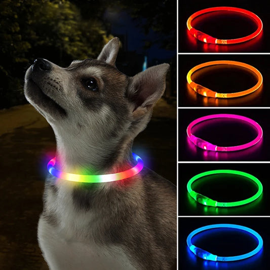 LED Dog Collar - Luminous USB Rechargeable Cat and Dog Collar with 3 Light Modes, Glowing Loss Prevention Accessory