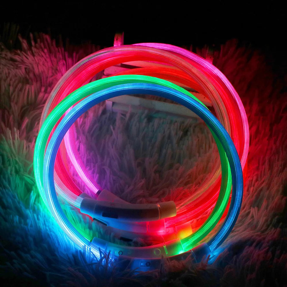 LED Dog Collar - Luminous USB Rechargeable Cat and Dog Collar with 3 Light Modes, Glowing Loss Prevention Accessory