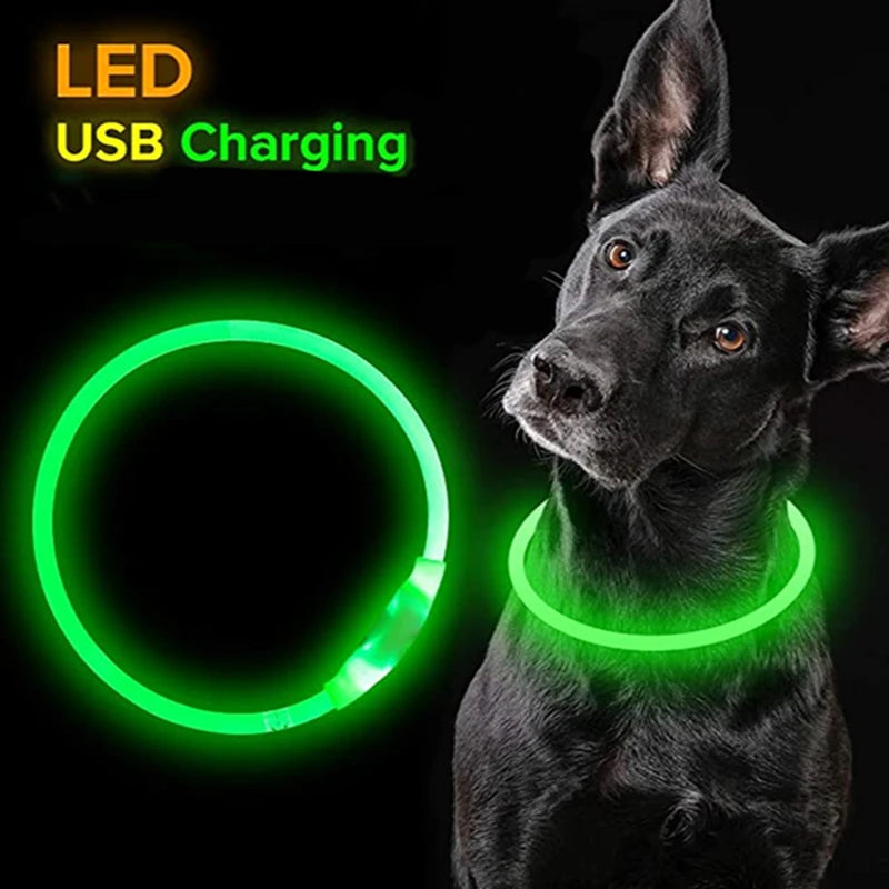 LED Dog Collar - Luminous USB Rechargeable Cat and Dog Collar with 3 Light Modes, Glowing Loss Prevention Accessory