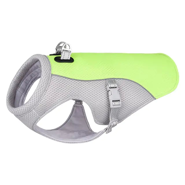 Beat the Heat: Breathable Summer Dog Cooling Vest