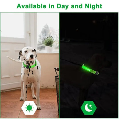 Light Up the Night: LED Glowing Dog Collar for Maximum Safety