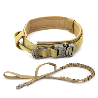 Style Meets Safety: The Ultimate Dog Collar for Your Best Friend