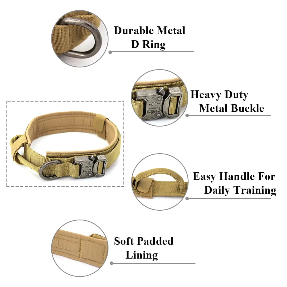 Style Meets Safety: The Ultimate Dog Collar for Your Best Friend