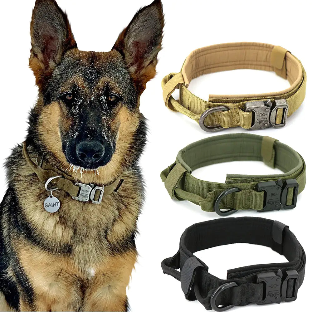 Style Meets Safety: The Ultimate Dog Collar for Your Best Friend