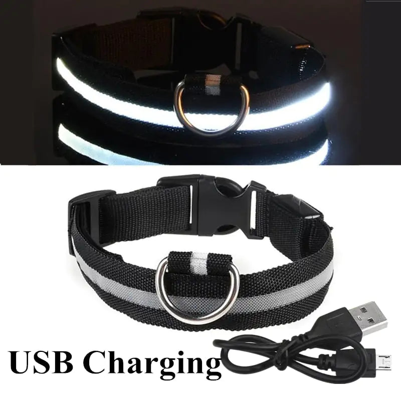 LED Safety Dog Collar for Enhanced Nighttime Visibility