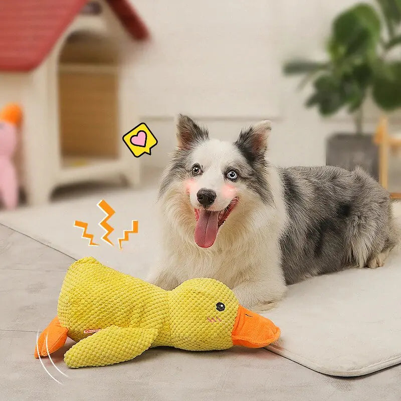 Calming Duck Toy for Dogs - Chewable, Quacking Sound, Visible Color for All Dog Sizes
