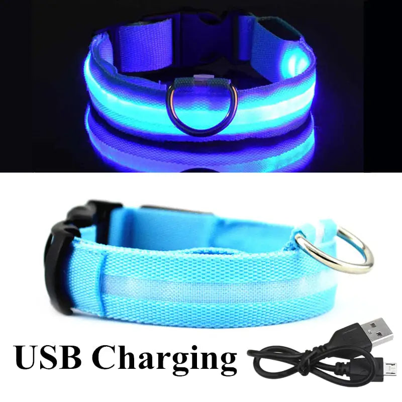 LED Safety Dog Collar for Enhanced Nighttime Visibility