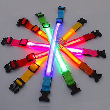 Light Up the Night: LED Glowing Dog Collar for Maximum Safety
