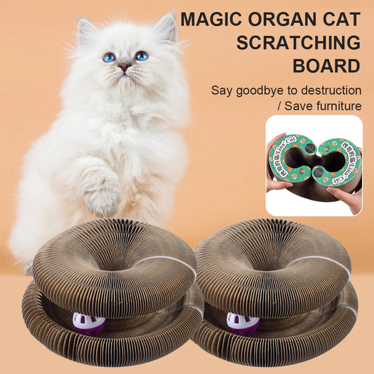 Magic Organ Cat Scratching Board: Playful, Foldable, + Bell Toy