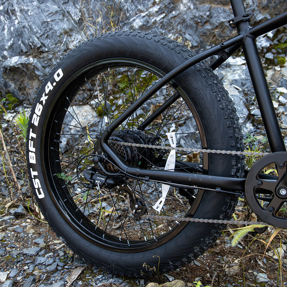 Powerful & Versatile:  1000W Fat Tire Electric Mountain Bike for All Terrains