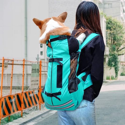 Premium Dog Carrier – Comfortable, Stylish, and Ergonomic Design for Your Furry Friend