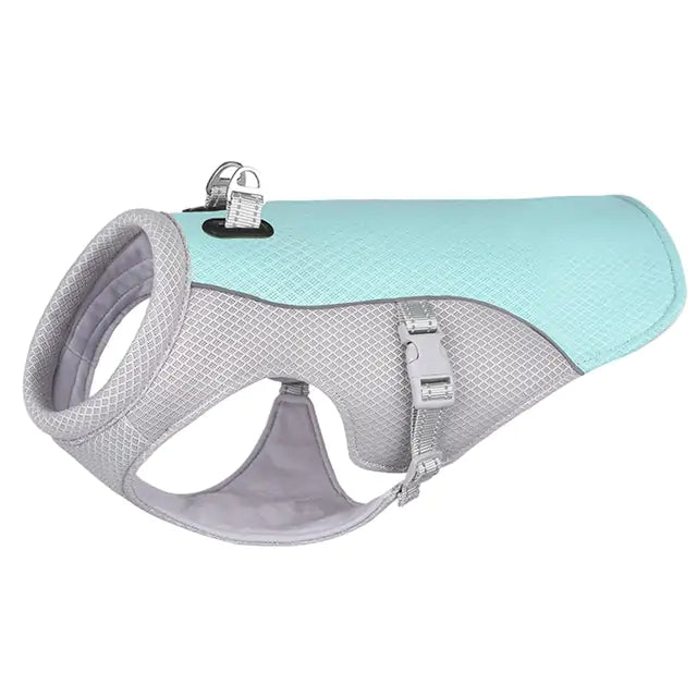 Beat the Heat: Breathable Summer Dog Cooling Vest