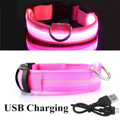 LED Safety Dog Collar for Enhanced Nighttime Visibility